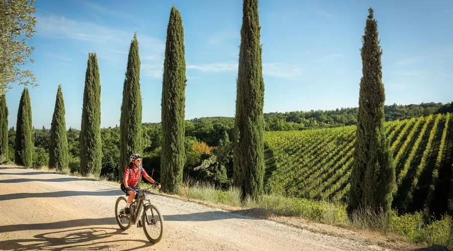 ebike-tour-in-chianti-31719